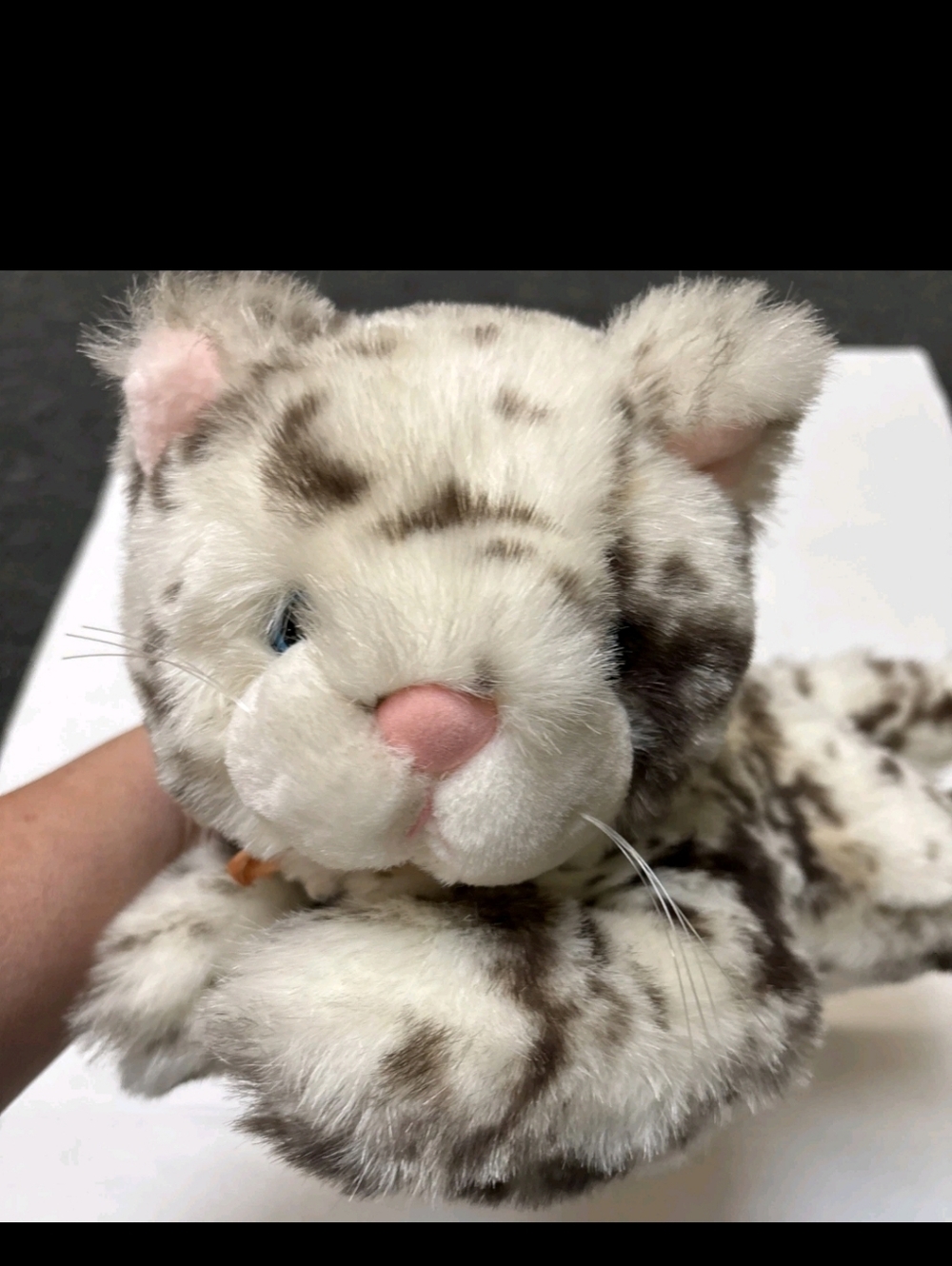 America Wego Laying Masanian Cat 81556 / Plush Stuffed Animal